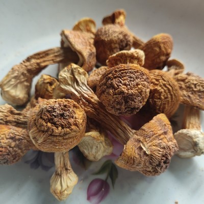 姬松茸 云南姬松茸 巴西菇 酒店干货食材 产地直销图1