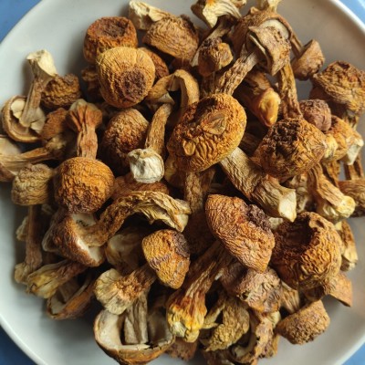 姬松茸 云南姬松茸 巴西菇 酒店干货食材 产地直销图2