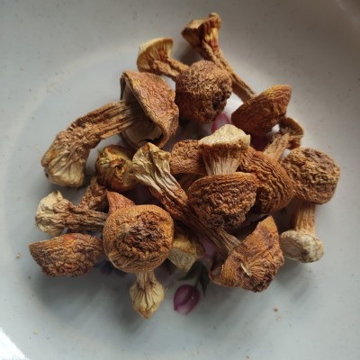 姬松茸 云南姬松茸 巴西菇 酒店干货食材 产地直销图4