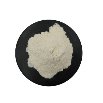 白芸豆提取物2%菜豆素 白芸豆粉 固体饮料 全水溶 源头厂家 现货图5