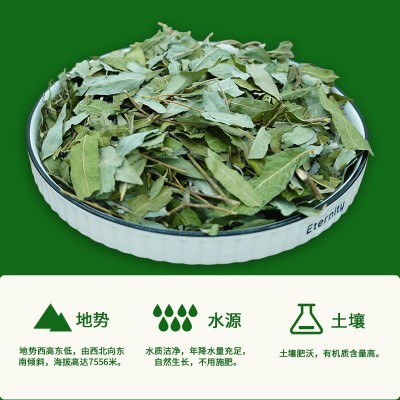 神农青钱柳叶茶三角包20袋盒装老人关爱茶源头厂家代发袋泡茶图2