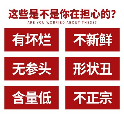 南北朝吉林长白山人参新鲜带土鲜参泡酒煲汤东北特产产地货源批发图5