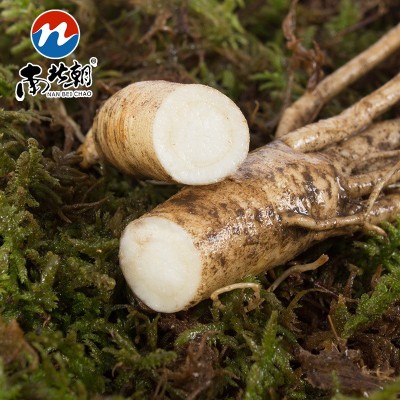 南北朝吉林长白山人参新鲜带土鲜参泡酒煲汤东北特产产地货源批发图2