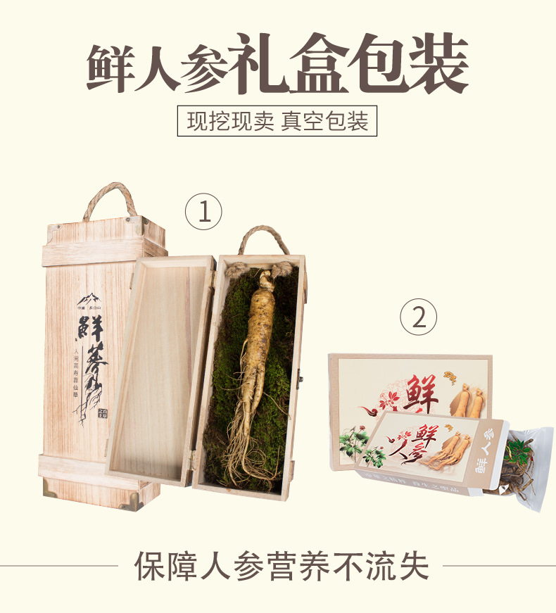 鲜人参详情_07