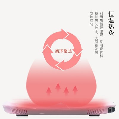 艾灸温灸仪家用益生疗无烟加热控熏蒸坐灸仪家用妇科艾灸熏蒸坐垫图2
