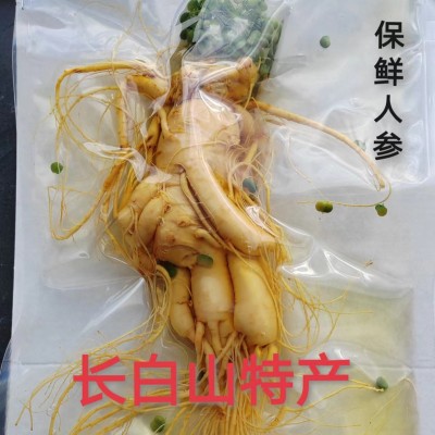 【保鲜人参】东北特产长白山人参 网红供货源头厂家图5
