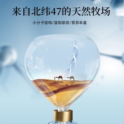 益生菌驼奶蛋白粉健身驼奶粉批发骆驼奶乳清蛋白厂家OEM贴牌定制图2