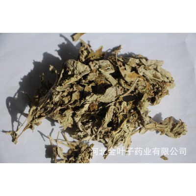 金叶子中药材 艾叶 货源充足 检测合格图2