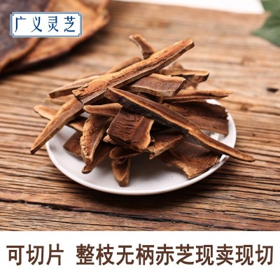 野生无柄赤芝 灵芝批发 红缘层孔菌 可切片 2吨现货 产地直销图2