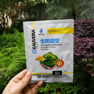 弹性蛋白肽 牛心脉管提取物 小分子蛋白肽粉 100g/袋 现货包邮图4