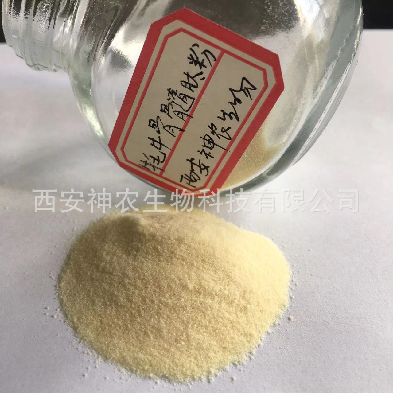 牦牛骨髓肽粉110