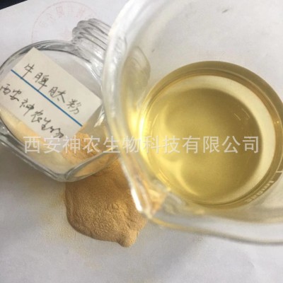 牛脾肽粉 牛脾低聚肽粉 600Da 牛脾提取物 小分子蛋白肽粉 现货图4
