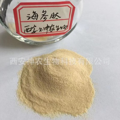 海参肽 海参低聚肽粉800Da海参提取物小分子蛋白肽粉 100g/袋现货图2