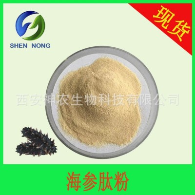 海参肽 海参低聚肽粉800Da海参提取物小分子蛋白肽粉 100g/袋现货