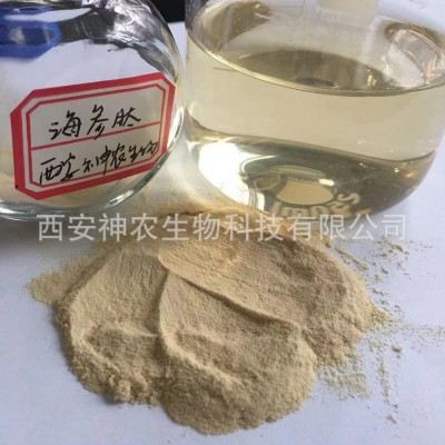 海参肽 海参低聚肽粉800Da海参提取物小分子蛋白肽粉 100g/袋现货图3