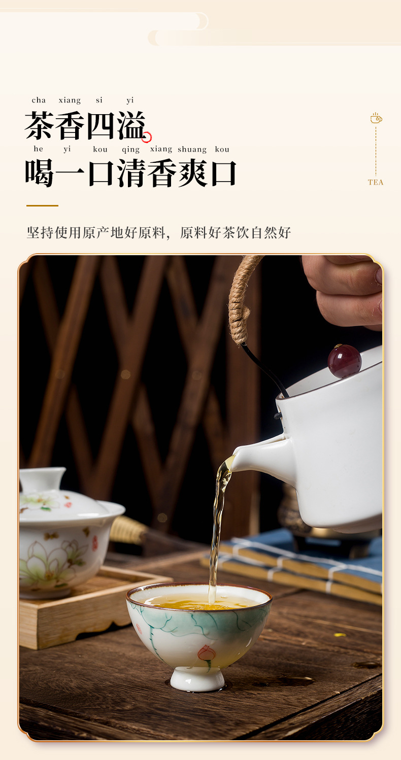 菊花决明子茶-最终版_11.jpg