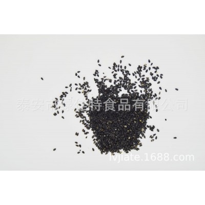 原料-熟黑芝麻批发 低温烘焙 可现磨粉配豆浆五谷磨坊磨粉专用特图3