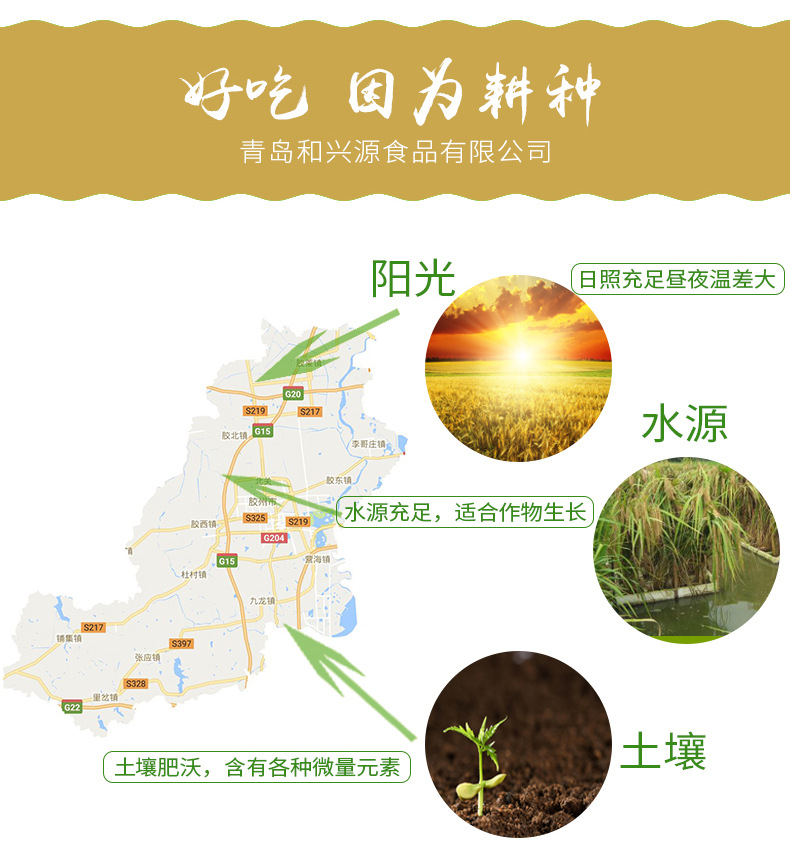 小米_03.jpg