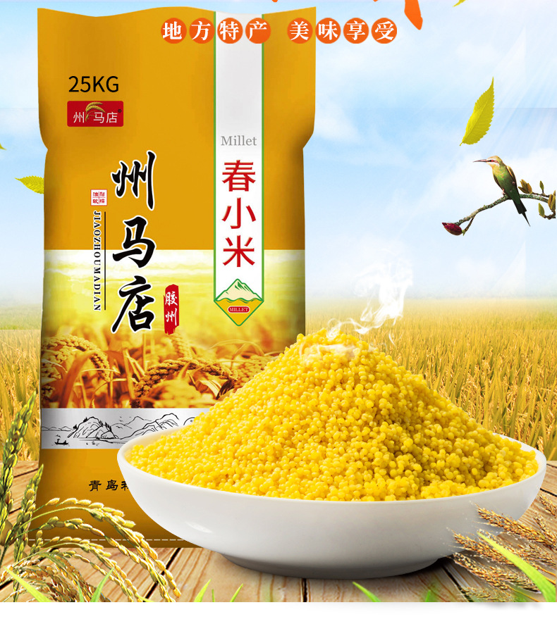 小米_02.jpg