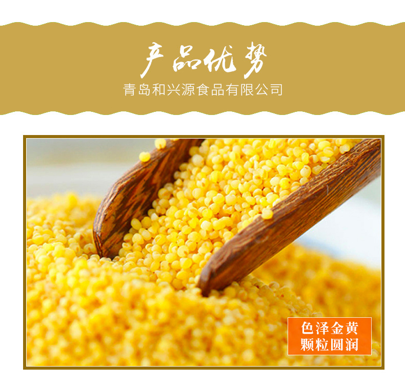 小米_04.jpg