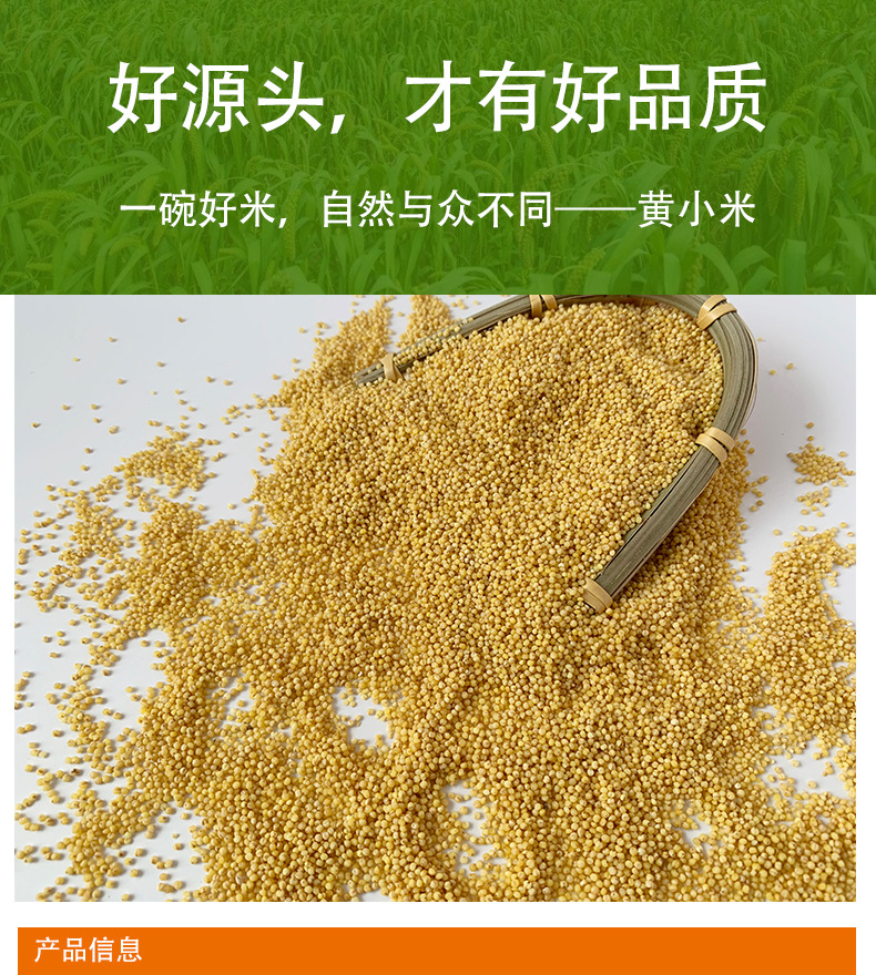 贡小米详情中文_01