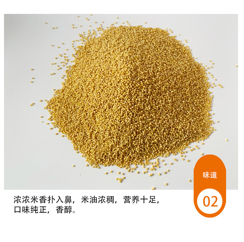 贡小米详情中文_03