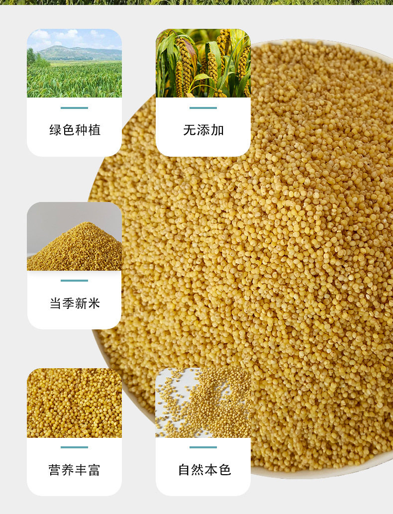 贡小米详情中文_05