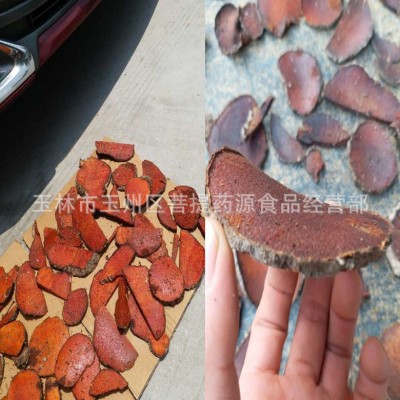 朱砂莲中药材薯莨血三七 血母鸡血莲 红药子图2