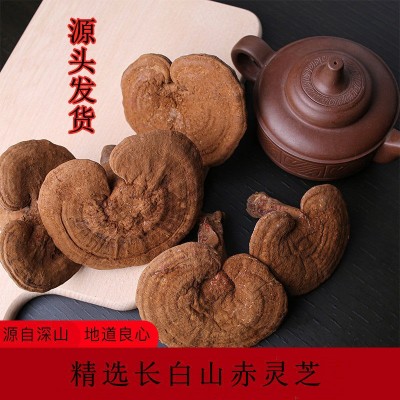 灵芝长白山灵芝孢子粉深山种植东北特产泡酒料泡水林芝整枝批发