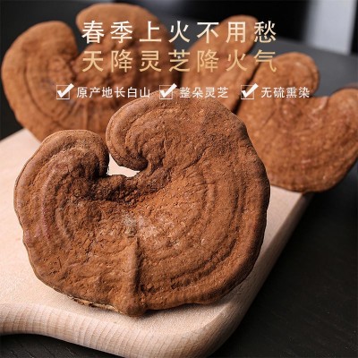 灵芝长白山灵芝孢子粉深山种植东北特产泡酒料泡水林芝整枝批发图3