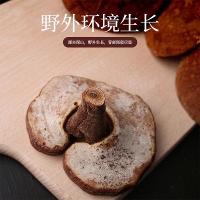 灵芝长白山灵芝孢子粉深山种植东北特产泡酒料泡水林芝整枝批发图2