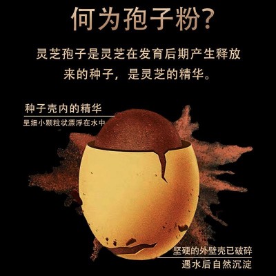 网红爆款长白山灵芝孢子粉散装吉林林芝狍子袍子粉菌丝粉厂家直发图3