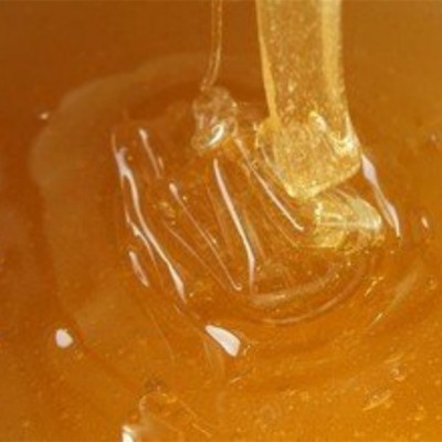 从化鸭脚木冬蜜 1000g瓶装蜂蜜 批发可OEM贴牌生产图4