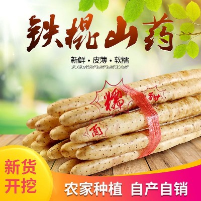 5斤包邮批发新鲜西施铁棍山药怀山药食药新鲜蔬菜产地直发全场图1
