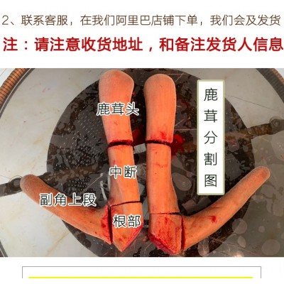 招代理】鹿茸整枝吉林梅花鹿东北头茬二杠泡酒新鲜片鹿鞭鹿场批发图3