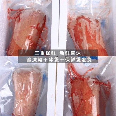 招代理】鹿茸头鹿茸整枝吉林梅花鹿东北头茬二杠泡酒新鲜鹿场批发图3