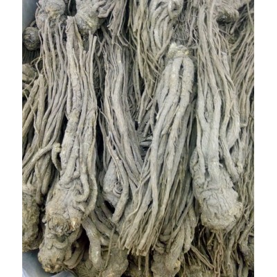 批发供应中药材当归 当归片 当归个 甘肃当归图3