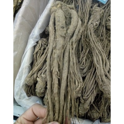 批发供应中药材当归 当归片 当归个 甘肃当归图2