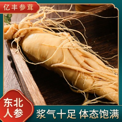 长白山人参批发保鲜参泡酒煲汤保鲜人参多种规格东北特产人参