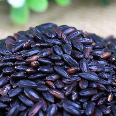 怡膳粮坊批发食品级黑米 低温烘焙杂粮 杂粮粉 代餐粉 膨化片原料图4