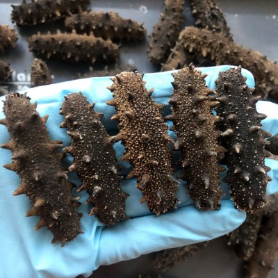 嘉岛珍参 醇品 淡干海参500g 大连辽参淡干刺参海参批发顺丰图2