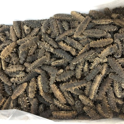 嘉岛珍参 醇品 淡干海参500g 大连辽参淡干刺参海参批发顺丰图5