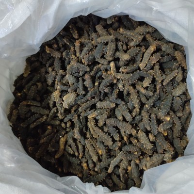 印尼小刺参 纯淡干海参干货 大货批发 足干发货 非即食海参图5