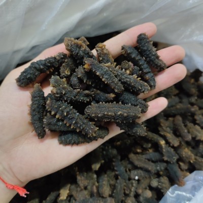 印尼小刺参 纯淡干海参干货 大货批发 足干发货 非即食海参图3