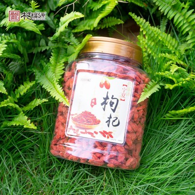 杞福源厂家现货批发构杞500g罐装宁夏特级头茬免洗煲汤红枸杞子图2