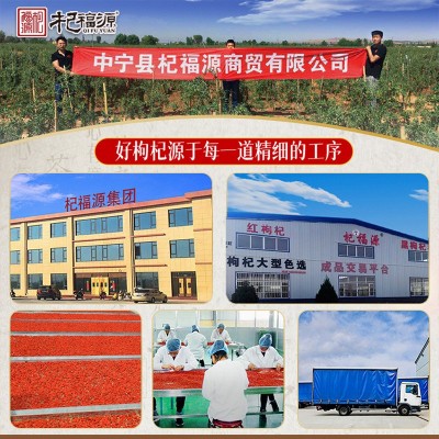 杞福源宁夏枸杞新货180粒贡果包装现货批发特级大颗粒中宁枸杞子图3