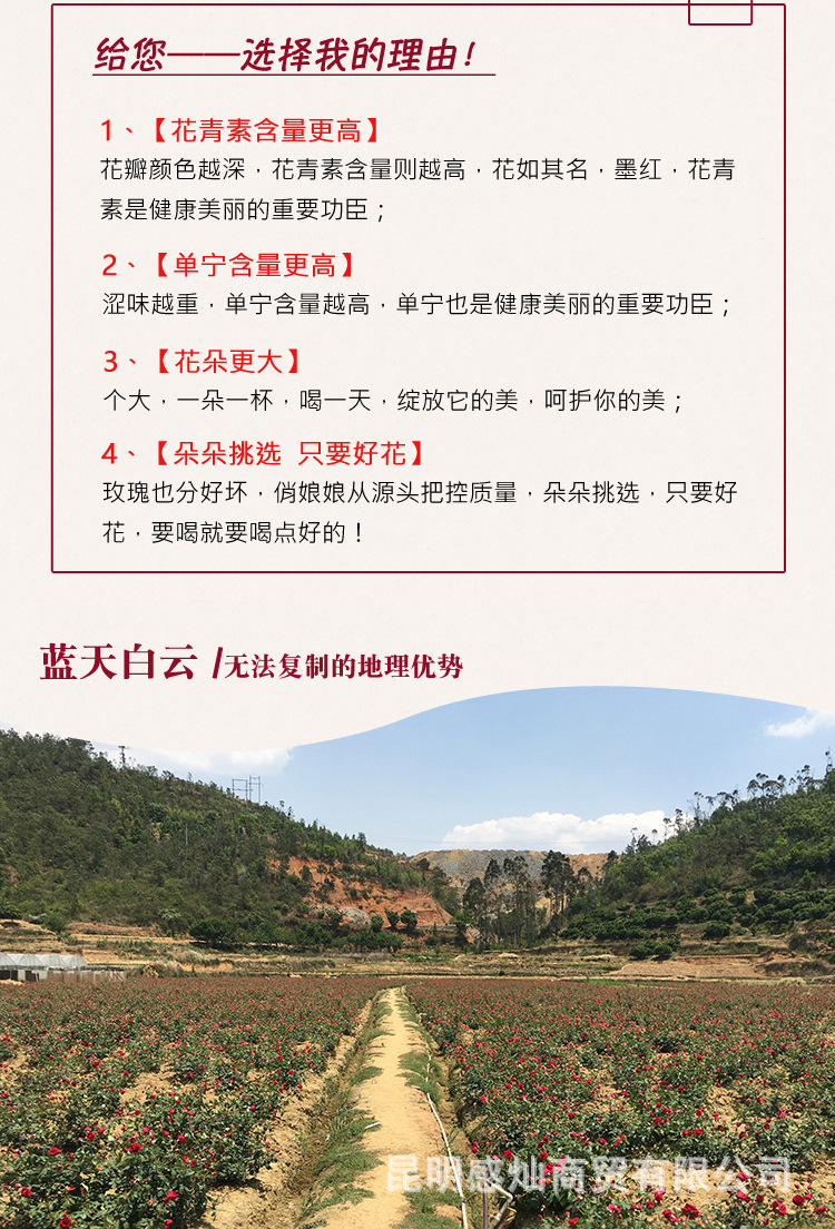 墨红_05.jpg