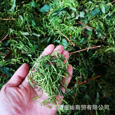 金银花金银花批发云南散装农产品金银花新花金银花露干花一手货源图4