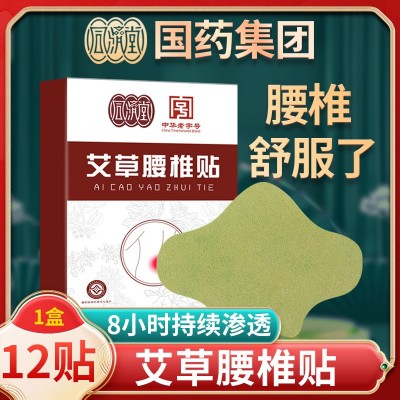 国药集团同济堂艾草腰椎贴 随身温灸8小时自发热腰部艾灸贴批发图5