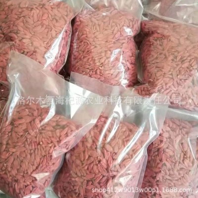 新货枸杞子红枸杞干度好甜度好挑选干净的农产品无流大量批非宁夏图2